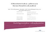 Obstetriska plexus brachialisskador - GUPEA: Home · Figur 1 visar plexus brachialisflätans anatomi. Figur 1. Anatomi av plexus brachialis (Sand, Sjaastad, Haug & Bjålie, 2007).