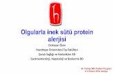 Olgularla inek sütü protein alerjisi - file.lookus.netfile.lookus.net/millipediatri/sunumlar/2016/201611.pdfAşağıdakilerden hangisi sadece tip IV (hücresel-gecikmiş tip) mekanizmanın