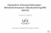 Operative Glaukomtherapie - Minimal Invasive Glaukomeingriffe · Die verschiedenen Glaukomoperatonen • Laser Operationen (Trabekuloplastik, Zyklofoto) • MIGS (Minimal invasive