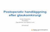 Postoperativ handläggning efter glaukomkirurgiällskapet.se/wp-content/uploads/2016/11/Postop_handl_glaukomkir.pdf · 3 Glaukomkirurgi • Filtrerande operationer – Trabekulektomi