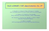 88ππLP-CORSET TOF Spectrometer for LP-CORSET TOF ...detectors/8plp_corset.pdf · 88ππLP-CORSET TOF Spectrometer for LP-CORSET TOF Spectrometer for FFFF A. Brondi, G. La Rana,