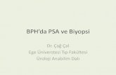 BPH’da PSA ve Biyopsi - uroonkoloji.org · •tedavisiz izlem 553 olgu / alfa bloker tedavi 389 olgu –PSA düzeyi (ng/ml) 5 yıllık invazif tedavi oranı (%) < 1.5 1.5-3 3