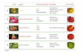 Tomate - buergerstiftung-berlin.debuergerstiftung-berlin.de/fileadmin/user_upload/Projekte/_Liste_nur... · Foto Name Farbe/Form/Größe Sonstiges Schnittbild 11 Paola rot rund groß