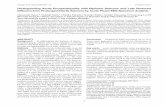 Distinguishing Acute Encephalopathy with Biphasic Seizures ...repository.lib.tottori-u.ac.jp/files/public/0/5083/20180622145239124318/yam59(1)_1.pdf1 Distinguishing Acute Encephalopathy