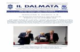 NEWSLETTER IL DALMATA N. 20 65° RADUNO NAZIONALE … Il Dalmata n. 20 - ottobre 2018.pdf · Nelle pagine facebook già vi sono foto e commenti del successo del Raduno di Padova.