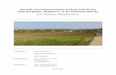 Spezielle artenschutzrechtliche Prüfung (saP) für das · Spezielle artenschutzrechtliche Prüfung (saP) für das Wohnbaugebiet „Biegfeld III“ in der Gemeinde Wörnitz (Lkr.