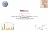Influenza - Kliniken Köln · Influenza A virus Influenza B virus Influenza A H1N1pdm09 Parainfluenza virus type 1 Parainfluenza virus type 2 Parainfluenza virus type 3 Parainfluenza