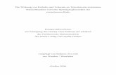 Die Wirkung von Pethidin und Lidocain an Tetrodotoxin ...geb.uni-giessen.de/geb/volltexte/2004/1602/pdf/SchorerEvaLili-2004-06-02.pdf · Die Wirkung von Pethidin und Lidocain an Tetrodotoxin-resistenten
