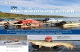 Auf Achse an der Mecklenburgischen - aso-angelservice.de · 82 FISCH & FANG 6/2013 B top-gewässer mecklenburgische seenplatte Mecklenburgischen Auf Achse an der MATHIAS FUHRMANN