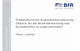 Probabilistische Expositionsschätzung - Chance für die ... · und der EFSA zu BSE-Risiken • Kritik bezieht sich nicht auf Modellierung generell, sondern auf Interpretation der