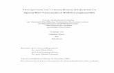 Überexpression von s-Adenosylhomocysteinhydrolase in ...sylvester.bth.rwth-aachen.de/dissertationen/2004/042/04_042.pdf · 6 Nasopharynx-Karzinom (10 Fälle pro 100.000 Personen