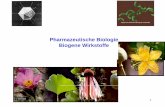 Pharmazeutische Biologie Biogene Wirkstoffe · Polyketide. Naturstoffe, synthetisiert aus einer variablen Coenzym A aktivierte Carbonsäure als Starter (häufig Acetat-, Propionat-