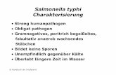 Salmonella typhi Charakterisierung - dgk.de · © Handbuch der Impfpraxis Salmonella typhi Charakterisierung •Streng humanpathogen •Obligat pathogen •Gramnegatives, peritrich