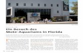 Mote-Aquariums in Florida - naturundfoto.denaturundfoto.de/PDF/datz_2008_09_074_076.pdf · dem bekannten Florida Aquarium in Tampa weitere sehr sehenswerte Häuser gibt, ist eher