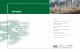 Wald - umwelt.steiermark.at · Inhalt Wald in der Steiermark Schutzwald in der Steiermark Schadeinflüsse auf den Wald Schadstoffbelastung der Wälder Verjüngung der Baumartenvielfalt