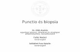 Punctio és biopsia - etk.pte.hu filePunkció Célja Lumbalpunctio Injectio, aspiráció, centesis Cysterna-punctio Rendkívül ritka, leginkább aspiráció céljából Douglas-punctio