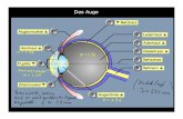 Das Auge - Forschungsgruppe Neutrinophysik · - Lichtstrahlen (geometrische Optik) - Elektromagnetische Welle (Interferenz, Beugung, Polarisation,…) - Licht (elektromagnetische