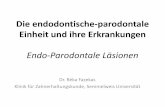 Die endodontisch-parodontale Einheit und ihre Erkrankungensemmelweis.hu/konzervalo-fogaszat/files/2014/11/endo-paro.pdf · periapikaler Abszess / parodontaler Abszess / vertikale