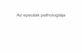 Az epeutak pathologiája - users.atw.huusers.atw.hu/aokszote/download.php?fname=./02] PREKLINIKAI MODUL... · D. hepaticus . D. choledochus . Duodenum . A koleszterinkövek kialakulása