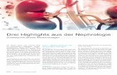Drei Highlights aus der Nephrologie · Zeichen der akuten Glomerulonephritis mit rasch ansteigendem Serum-Kreatinin, einem aktiven Urinsediment (dysmorphe Erythrozyten) und Al - buminurie.