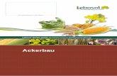 Ackerbau · Ackerbau Lebosol® Dünger GmbH Ihr Partner rund um die Pflanzenernährung Ihr Ansprechpartner in der Region