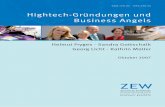 Hightech-Gründungen und Business Angelsbusiness-angels.de/wp-content/uploads/2013/10/businessangel-endbericht-5.pdf · Hightech-Gründungen und Business Angels Helmut Fryges · Sandra