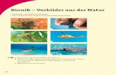 Bionik – Vorbilder aus der Natur - Cornelsen Verlag · 28 Sachtexte und Grafiken erschließen Eine Funktionsweise anhand eines Schaubilds beschreiben Bionik – Vorbilder aus der