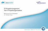 IT-Projektmanagement - Projektorganisation · Beispiel: Matrixorganisation 04-PROJEKTORGANISATION.PPTX 28 Vorstand Bereich 3 Bereich 4 IT CIO ± Chief Information Officer Bereich