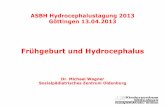 Frühgeburt und Hydrocephalus - asbh.deasbh.de/download/archiv/Frühgeburt und Hydrocephalus Michael Wagner.pdf · ASBH Hydrocephalustagung 2013 Göttingen 13.04.2013 Frühgeburt
