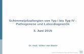 Schimmelpilzallergien von Typ I bis Typ IV - Pathogenese ... · Whirlpool-Lunge Mykobakterien (M. immunogen.) Isocyanate, Anhydride, Acrylate, Enzyme Befeuchterlunge Thermoactinomyces