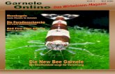 Christian Splettstößer - Garnele-Online · der Chlorophyta – der Grünalgen! der Kugel an die Wasseroberfläche führen. Somit gehört sie zwar zu den niederen Wasserpflanzen,