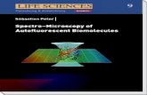 Spectro–Microscopy of Spectro–Microscopy of Autoﬂ ... fileSpectro–Microscopy of Autoﬂ uorescent Biomolecules Fluorescence microscopy has become an indispensable tool in life