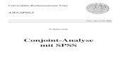 Conjoint-Analyse mit SPSS - uni-trier.de · meßtheoretischen Methode Additive Conjoint Measurement, was im Titel der Conjoint-Monografie von Green & Wind (1973) zum Ausdruck kommt: