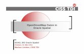 OpenStreetMap Daten in Oracle Spatial - doag.org · OpenStreetMap Daten in Oracle Spatial DOAG, SIG Oracle Spatial Potsdam, 15. März 2011 Markus Lindner, CISS TDI