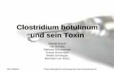 Clostridium botulinum und sein Toxin - uni-muenster.de · WS 2006/07 Pharmakologisch-toxikologischer Demonstrationskurs • 0,001 µg pro kg KG letale Dosis • Inaktivierung des
