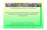 Schmetterlinge suchen im Herbarium (Eine) neue Nachweis ... · Workshop Larvalökologie von Tagfaltern und Widderchen – Leipzig 2012 Schmetterlinge suchen im Herbarium (Eine) neue