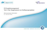 IT-Projektmanagement - Der Gegenstand von Softwareprojektenagse.cs.uni-kl.de/teaching/pm/ws2012/material/02-Gegenstand von SW-Projekten.pdf · Wintersemester 2012/2013 Dr. Gerhard