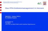 Das FFH-Gebietsmanagement in Hessen - thueringen.de · Hessisches Ministerium für Umwelt, Klimaschutz, Landwirtschaft und Verbraucherschutz Vergleichende Bilanz FFH/VS-Gebiete in