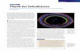 BIOPHYSIK Physik der Zelladhäsionbiophys/PDF/PJ2015.pdf · 4).) ((), (+ (– – [()() ] , / / . (), () ...