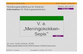 V. a. „Meningokokken- Sepis · Autor & ©: G. Scherer frei gegeben: G. Scherer 2011-02-01 Rettungsdienst in Rheinland-Pfalz: schnell – kompetent - mitmenschlich