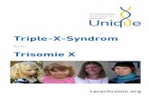 Triple X Syndrom - rarechromo.org · weiblichen Chromosomen werden als 46,XX beschrieben. Mädchen mit einem Triple-X- Mädchen mit einem Triple-X- Syndrom verfügen über ein zusätzliches