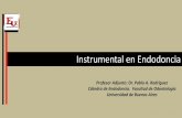 Instrumental en Endodoncia - od.odontologia.uba.arod.odontologia.uba.ar/uacad/endodoncia/docs/2017/instrumentosmodifica... · número 28 de la ADA para limas y ensanchadores endodóntico