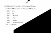 Ch.2 Optical Properties of Biological Tissuesntur.lib.ntu.edu.tw/bitstream/246246/200609271210348679971/1/ch2.pdf · 2.1 Optical Properties of biological tissues When the EM wave