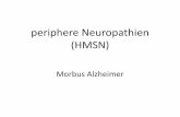 periphere Neuropathien (HMSN) - Ruhr-Universität Bochum · • autosomal-rezessiv, Mutationen NTRK1 • 35 Familien. Tiermodelle •CMT Mausmodelle Trembler mouse (verschiedene Stämme)