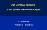 Der Verdauungstrakt – Das größte endokrine Organ85.214.27.15/pdf/101125_Folwaczny.pdf · Endokrines „System“ Hypothalamus. Hypophyse. Schilddrüse. Nebenschilddrüse. Pankreas.