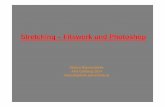 Stretching – Fitswork und Photoshop · Stretching – Fitswork und Photoshop Markus Blauensteiner AAS Gahberg 2014