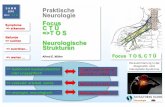 Praktische WS 2 C T Ü Neurologie Focus => erkennen C T Ü ... · S A M M 2016 WS 2 C T Ü Struktur Plexus brachialismit Abgängen peripherer Nerven Wurzeln => Trunci=> Fasciculi=>