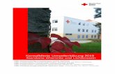 Konsolidierte Umwelterklärung 2019 ... - rab.drk-khs.de · Konsolidierte Umwelterklärung 2019 Impressum 3 Impressum DRK Gemeinnützige Krankenhaus GmbH Sachsen DRK Krankenhaus Chemnitz-Rabenstein