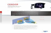 CONDOR - bea-sensors.com · CONDOR CONDOR XL BESCHREIBUNG Der CONDOR vereint einen Radar-Bewegungsmelder und einen Aktivinfrarot-Anwesenheitssensor in einem Gerät.