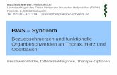 BWS Syndrom - pharmarissano.de · Matthias Mertler, Heilpraktiker Lehrbeauftragter des Freien Verbandes Deutscher Heilpraktiker (FVDH) Kirchstr. 2, 58332 Schwelm Tel. 02336 - 473